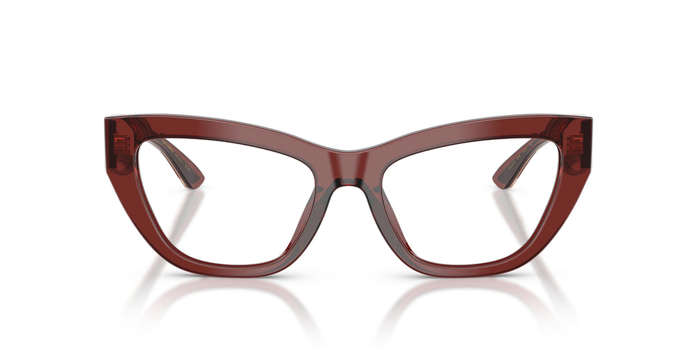 Dolce & Gabbana DG3412 3045 51