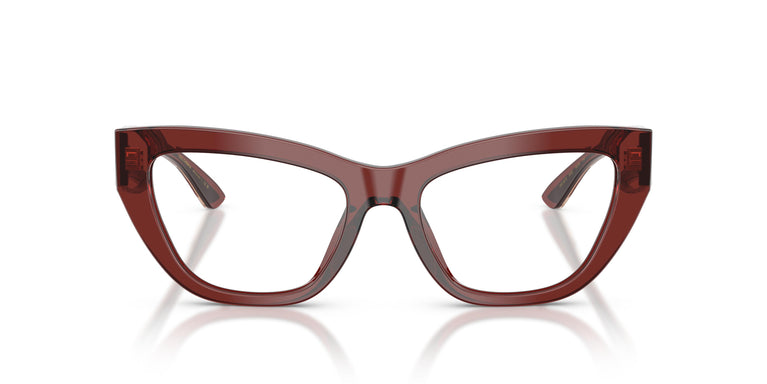 Dolce & Gabbana DG3412 3045 51