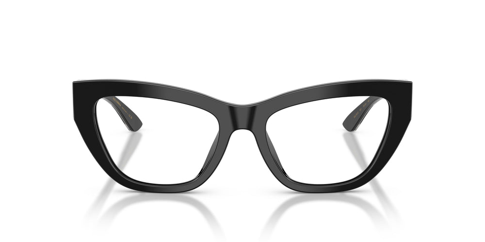 Dolce & Gabbana DG3412 501 51
