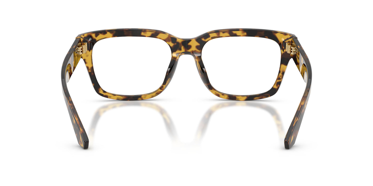Dolce & Gabbana DG3416 3330 53