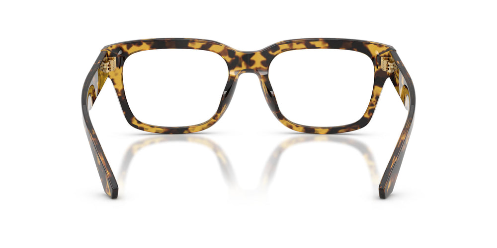 Dolce & Gabbana DG3416 3330 55