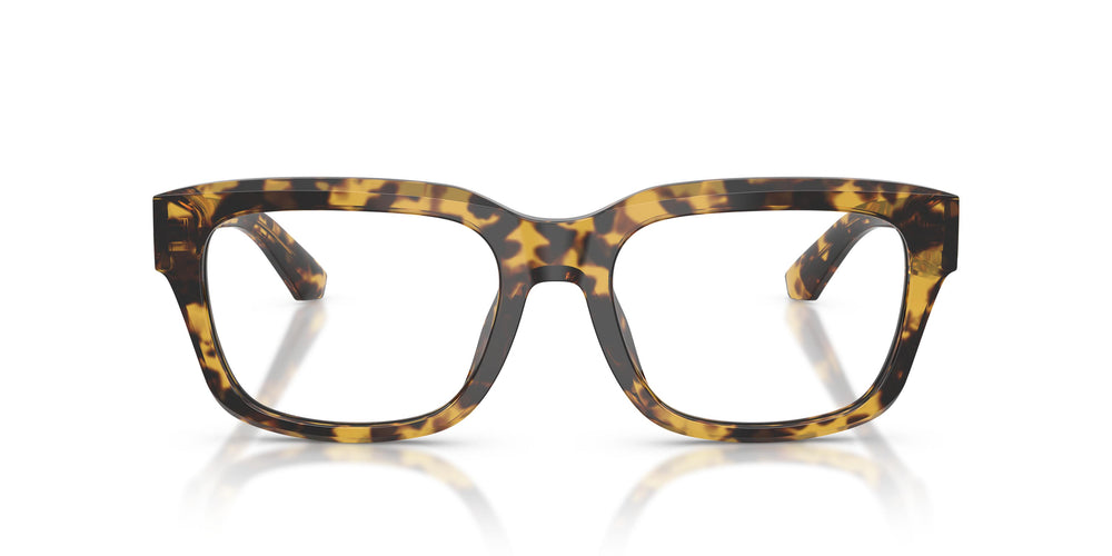 Dolce & Gabbana DG3416 3330 55