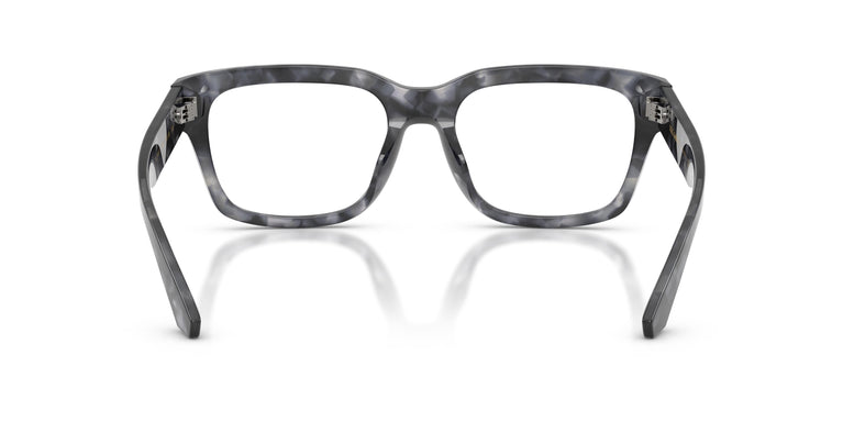 Dolce & Gabbana DG3416 3445 53