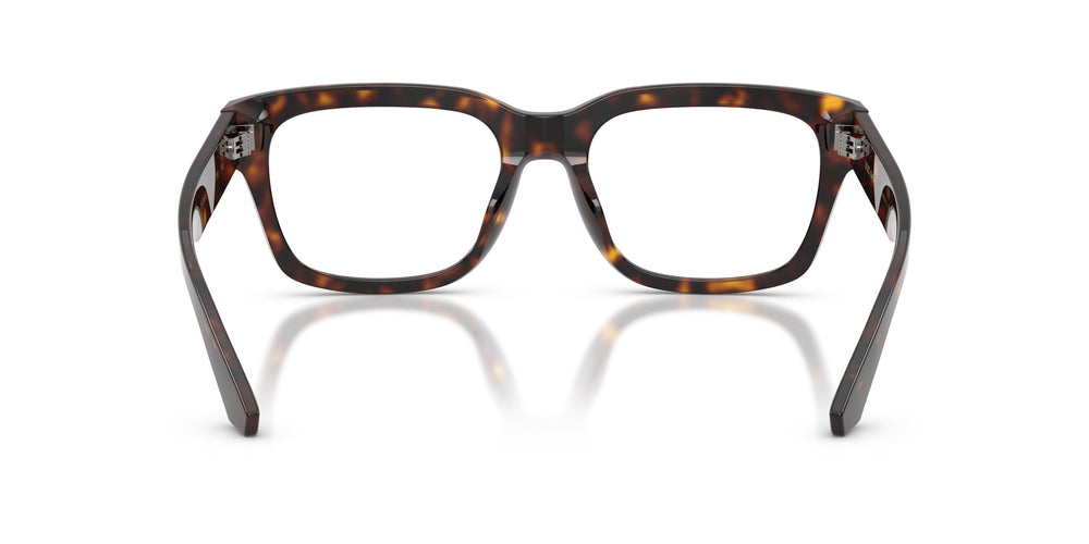 Dolce & Gabbana DG3416 502 55
