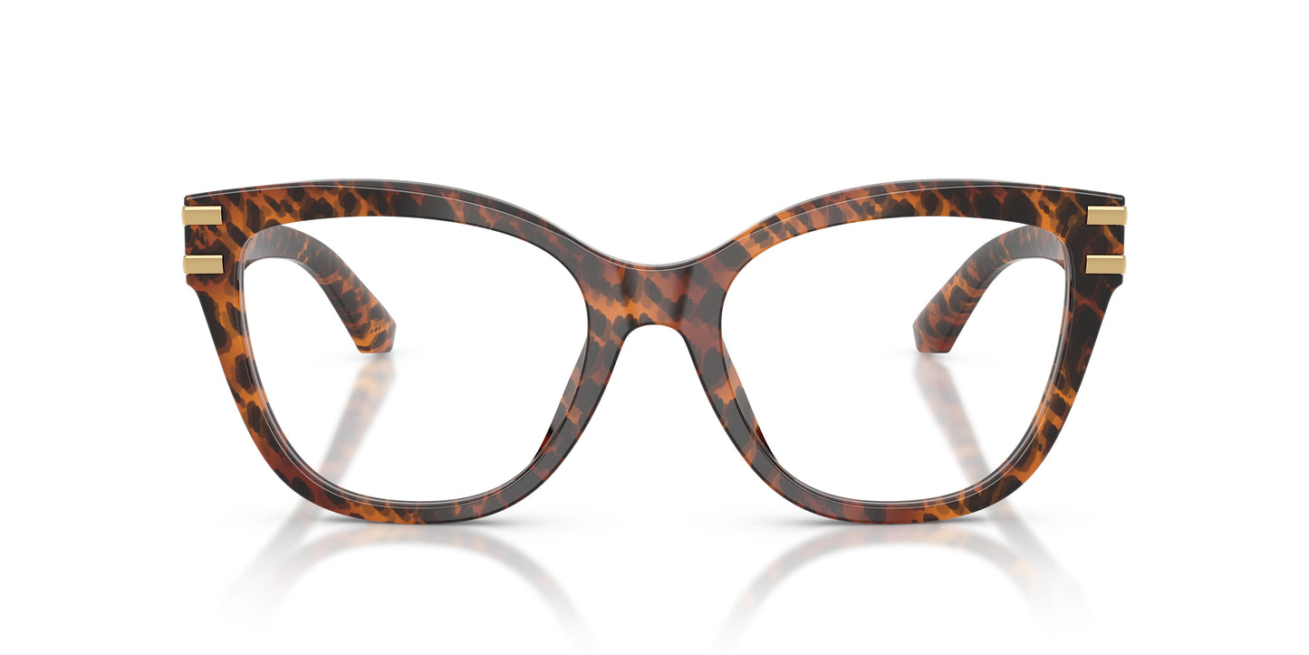 Dolce & Gabbana DG3418 3470 55