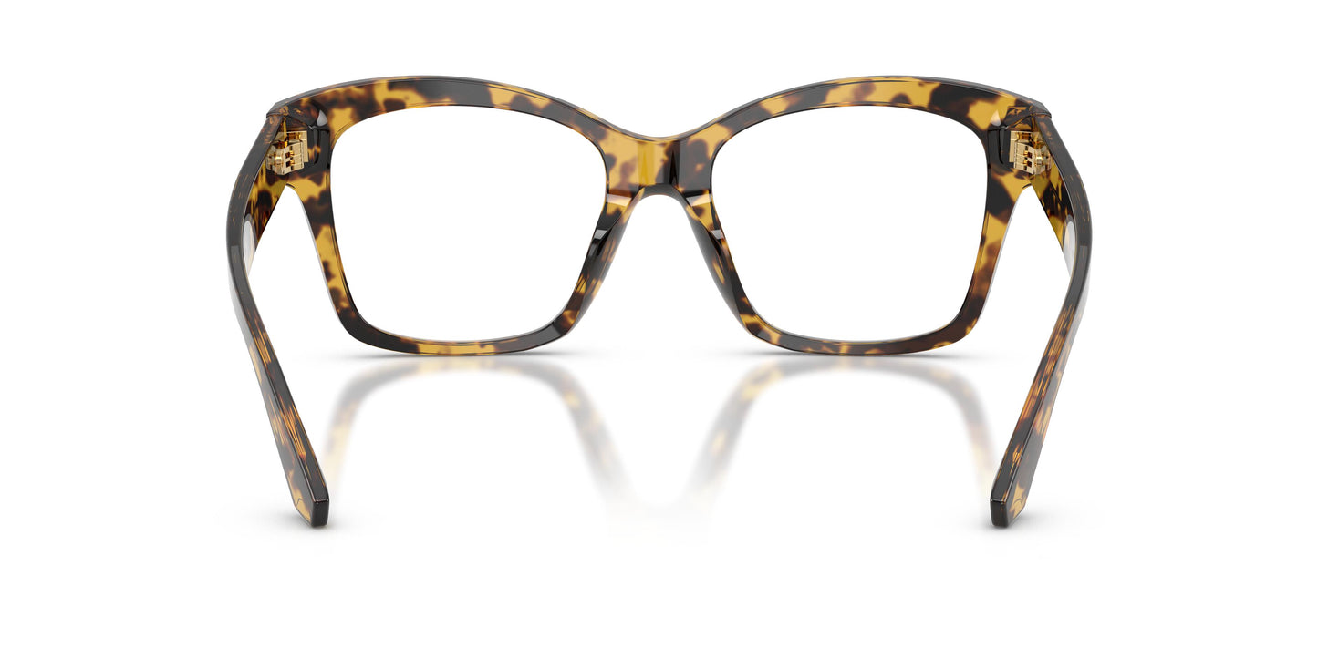 Dolce & Gabbana DG3419 3330 54