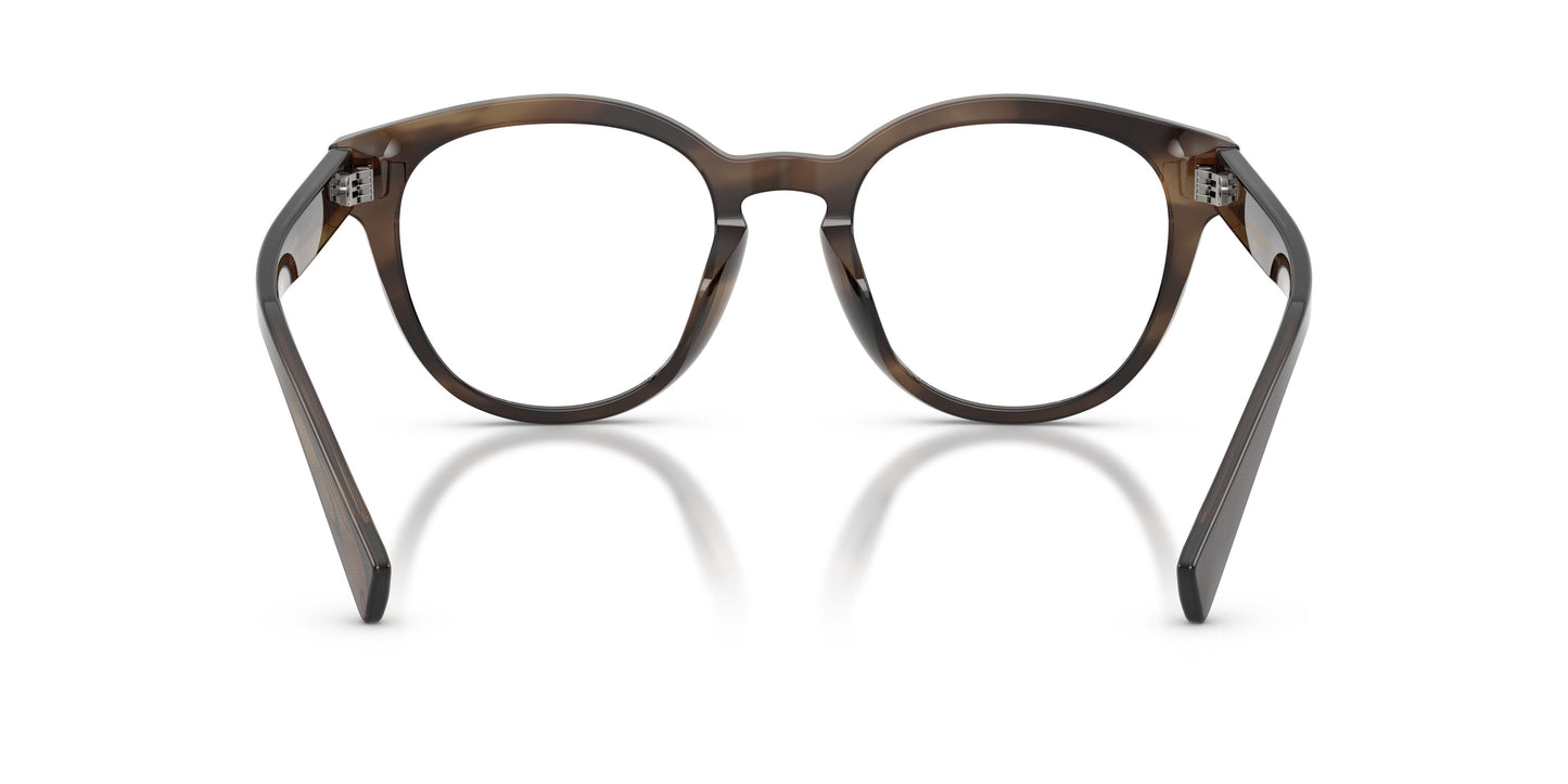 Dolce & Gabbana DG3421 3200 50