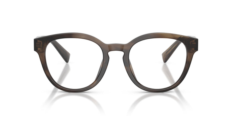 Dolce & Gabbana DG3421 3200 50