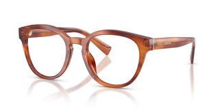 Dolce & Gabbana DG3421 3221 50
