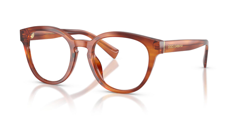 Dolce & Gabbana DG3421 3221 50