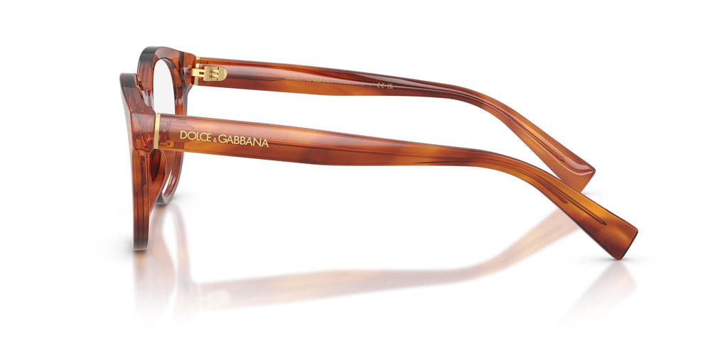 Dolce & Gabbana DG3421 3221 52