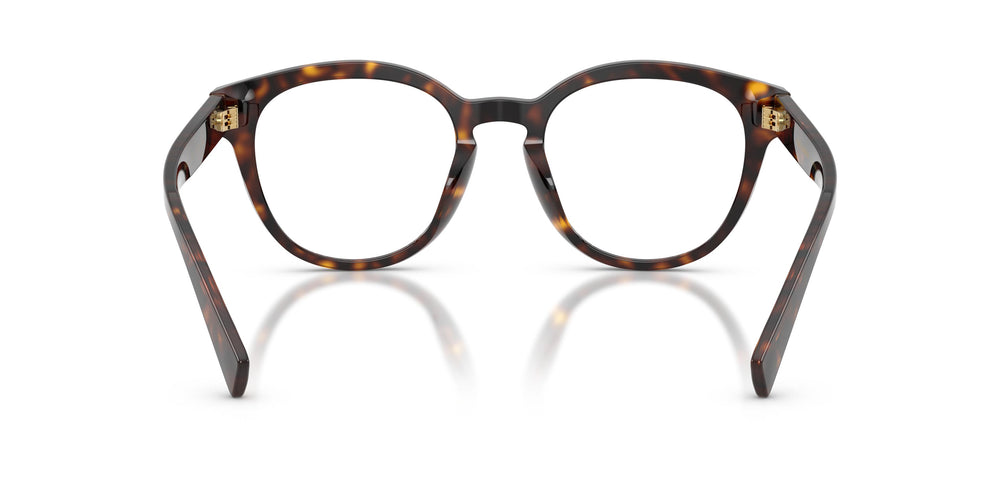 Dolce & Gabbana DG3421 502 52