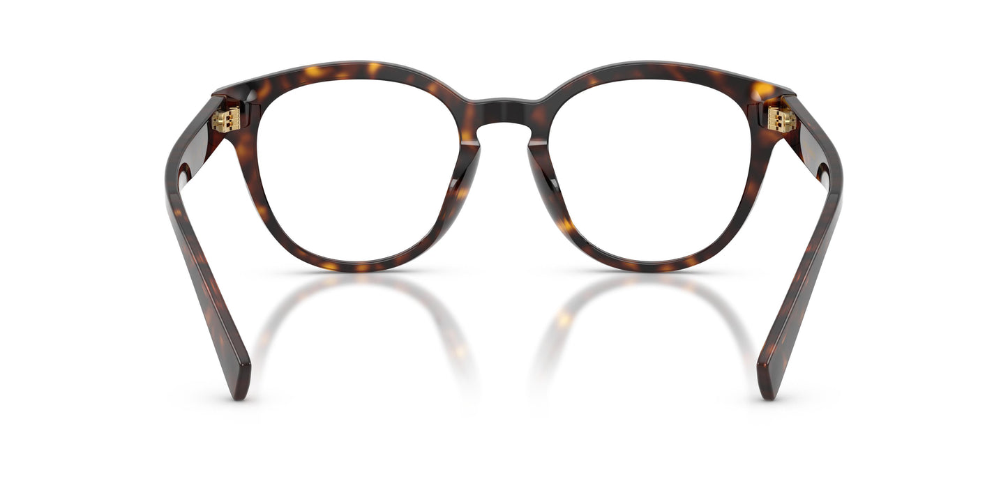 Dolce & Gabbana DG3421 502 52