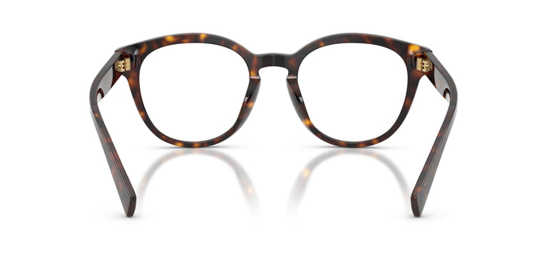 Dolce & Gabbana DG3421 502 50