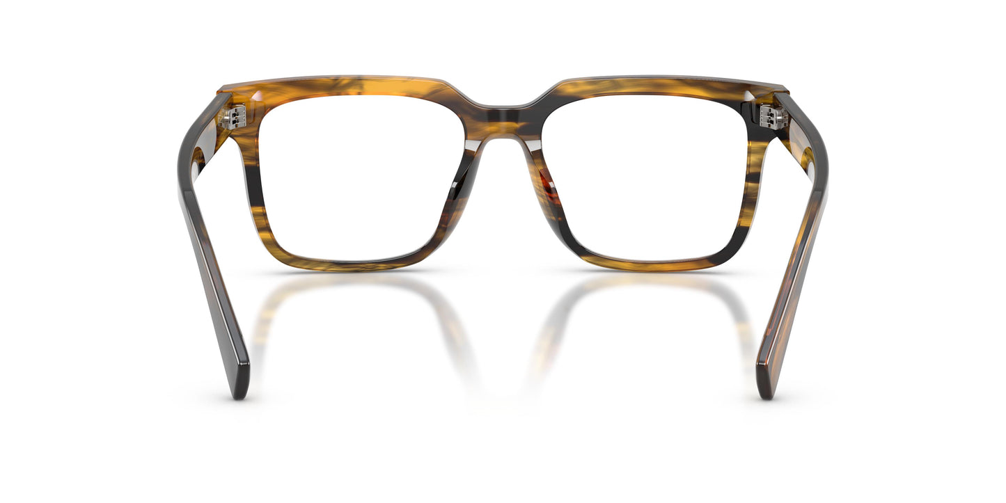 Dolce & Gabbana DG3422 3063 53