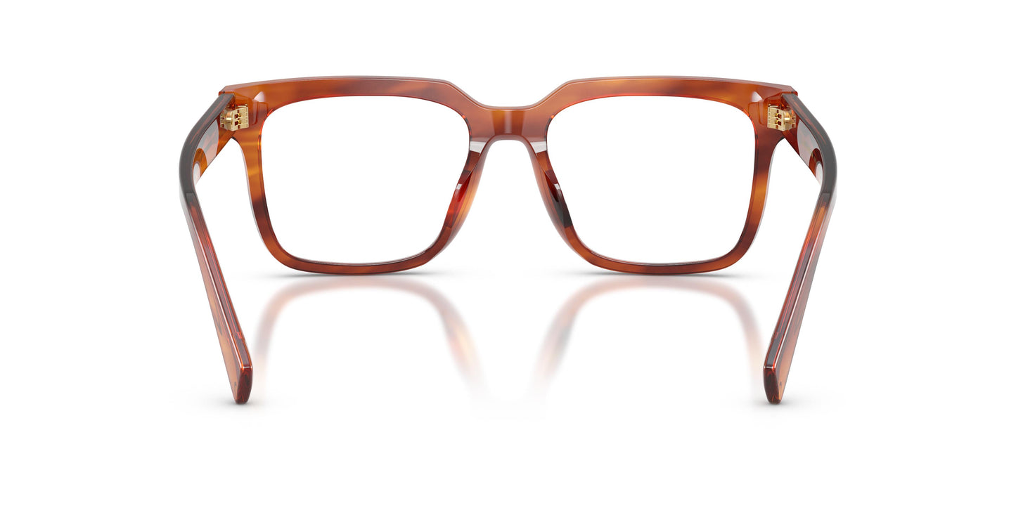 Dolce & Gabbana DG3422 3221 51