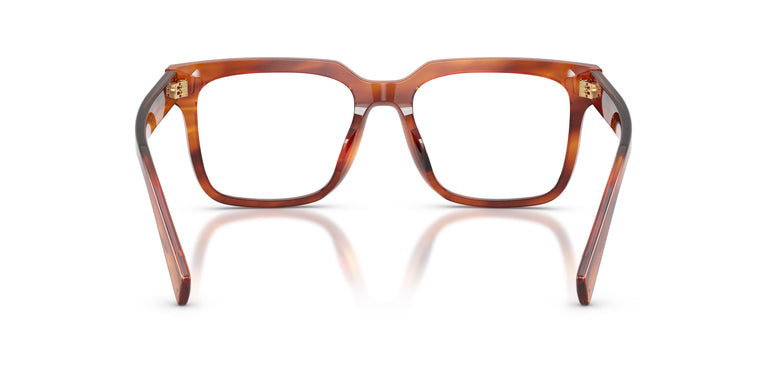 Dolce & Gabbana DG3422 3221 51