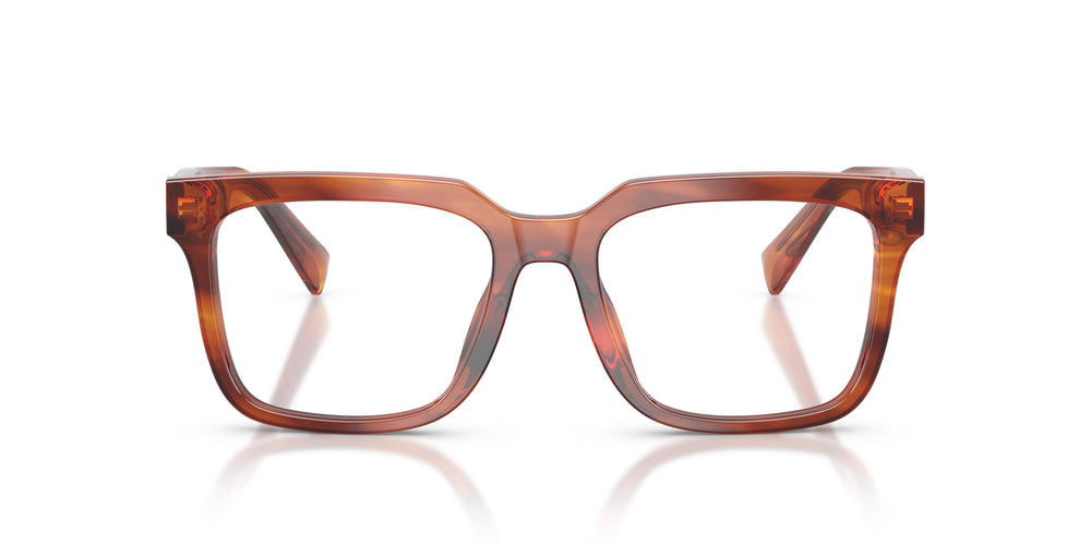 Dolce & Gabbana DG3422 3221 53