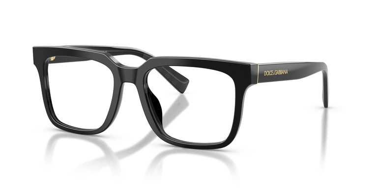 Dolce & Gabbana DG3422 501 51