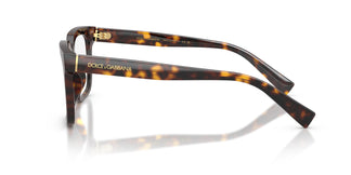 Dolce & Gabbana DG3422 502 51