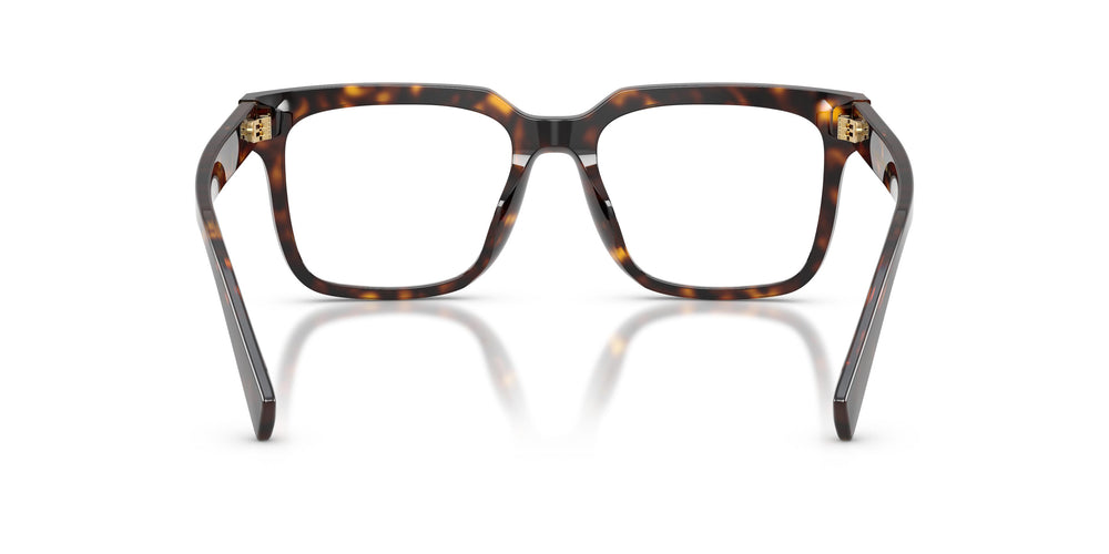 Dolce & Gabbana DG3422 502 53