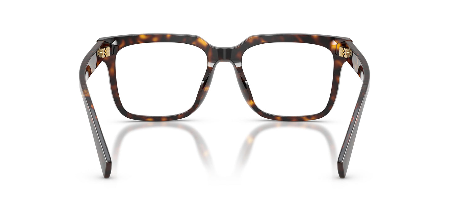 Dolce & Gabbana DG3422 502 51