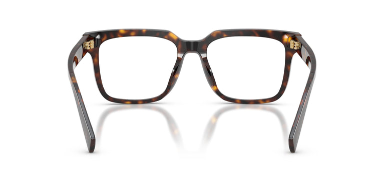 Dolce & Gabbana DG3422 502 51