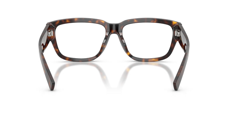Dolce & Gabbana DG3423 502 57