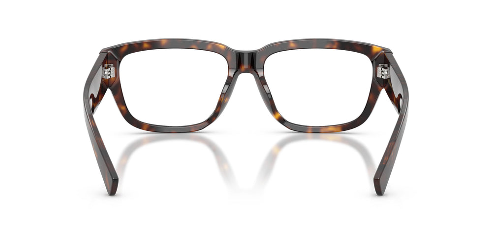 Dolce & Gabbana DG3423 502 55