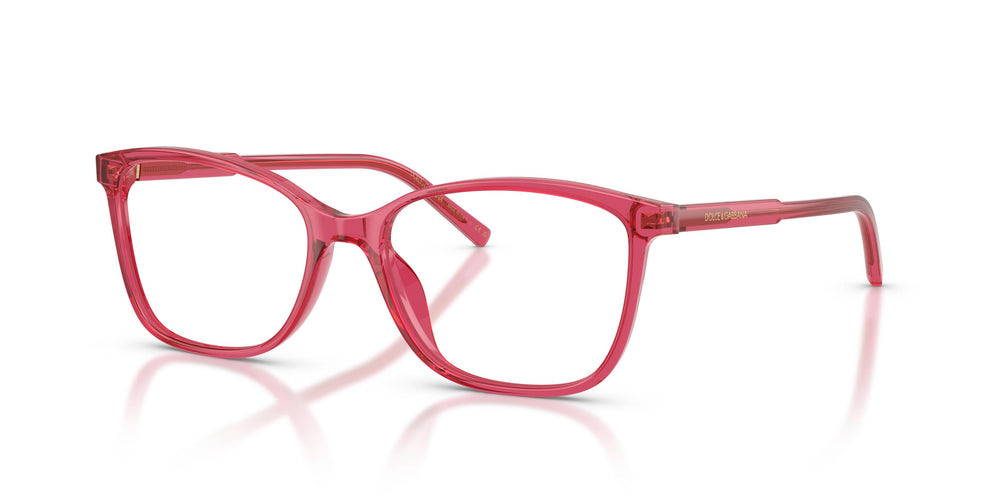 Dolce & Gabbana DG3424 1754 52