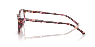 Dolce & Gabbana DG3424 3440 54