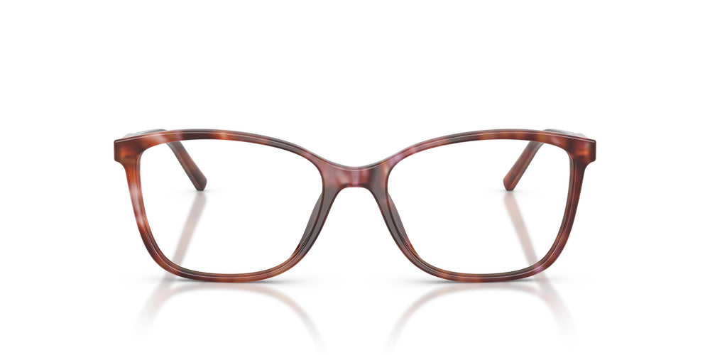Dolce & Gabbana DG3424 3444 54