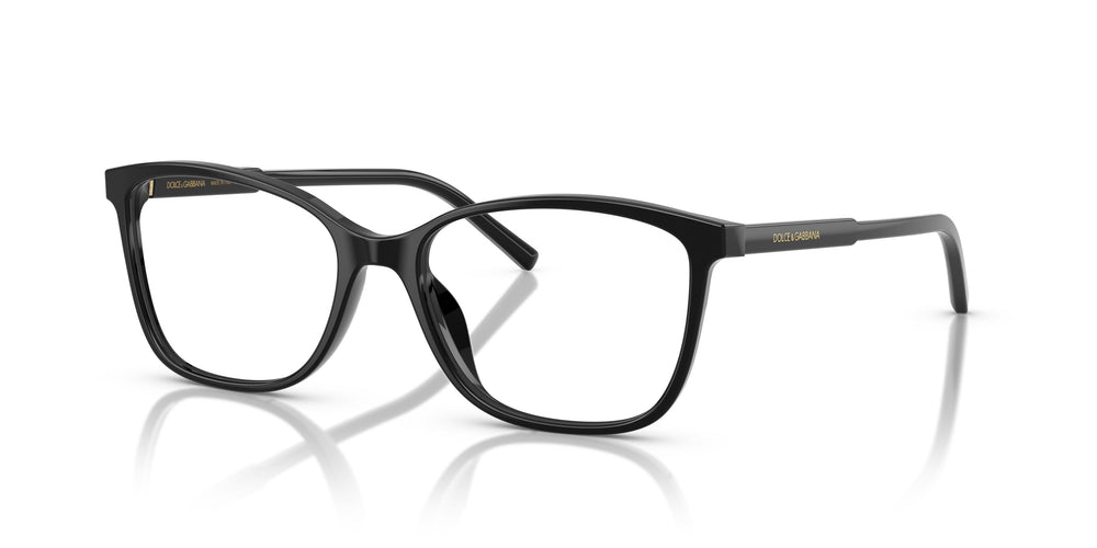 Dolce & Gabbana DG3424 501 54