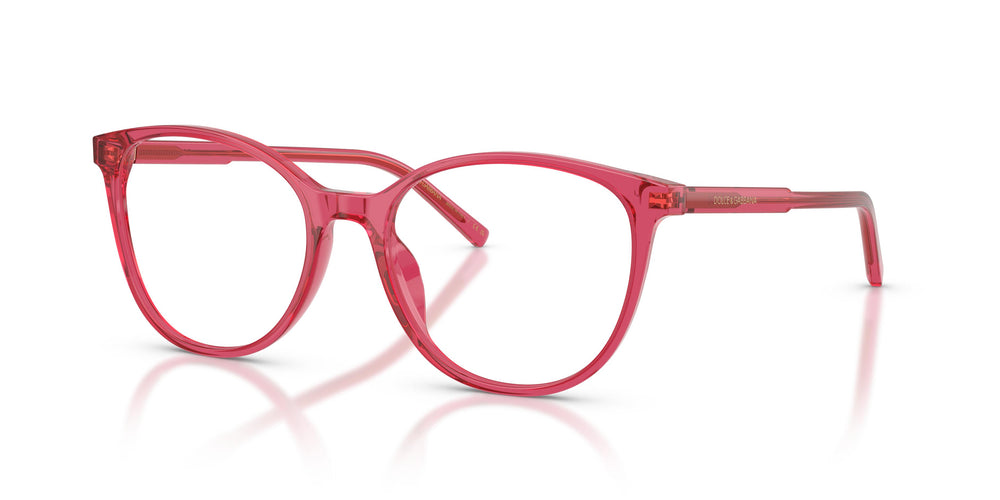 Dolce & Gabbana DG3425 1754 54