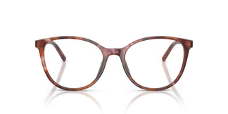 Dolce & Gabbana DG3425 3444 52