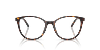 Dolce & Gabbana DG3425 502 52