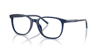 Dolce & Gabbana DG3426 3009 53