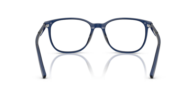 Dolce & Gabbana DG3426 3009 51