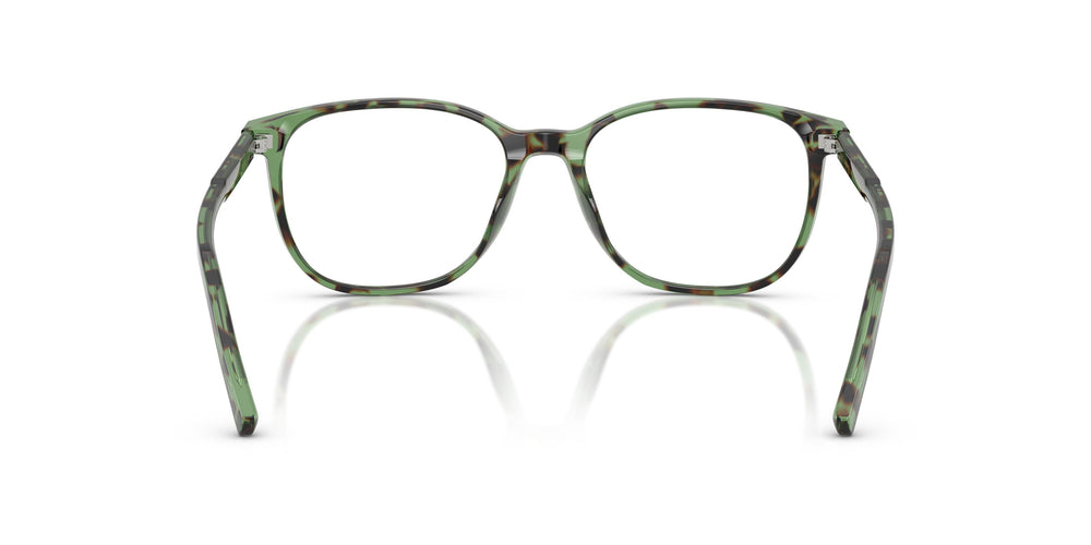 Dolce & Gabbana DG3426 3439 53