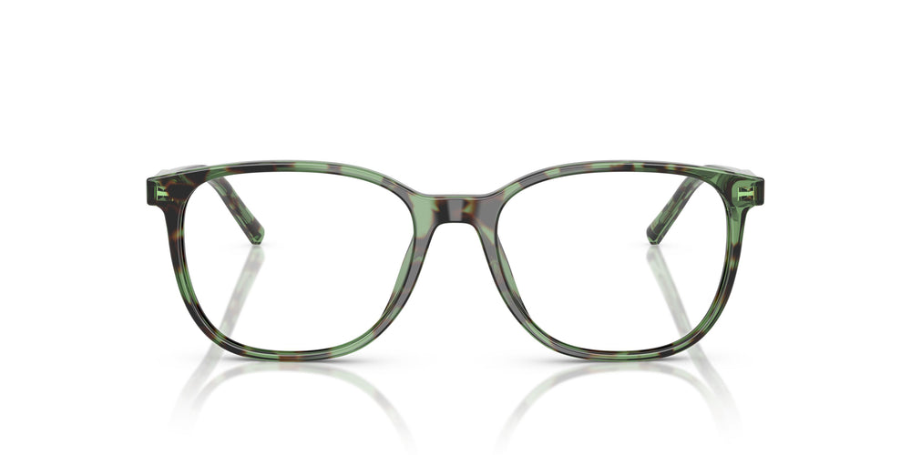 Dolce & Gabbana DG3426 3439 53