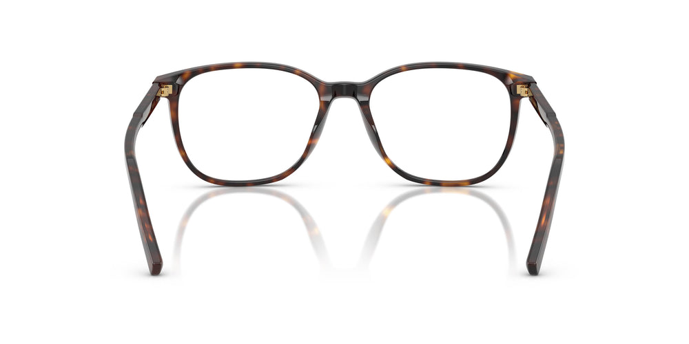 Dolce & Gabbana DG3426 502 53