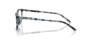 Dolce & Gabbana DG3427 3392 55