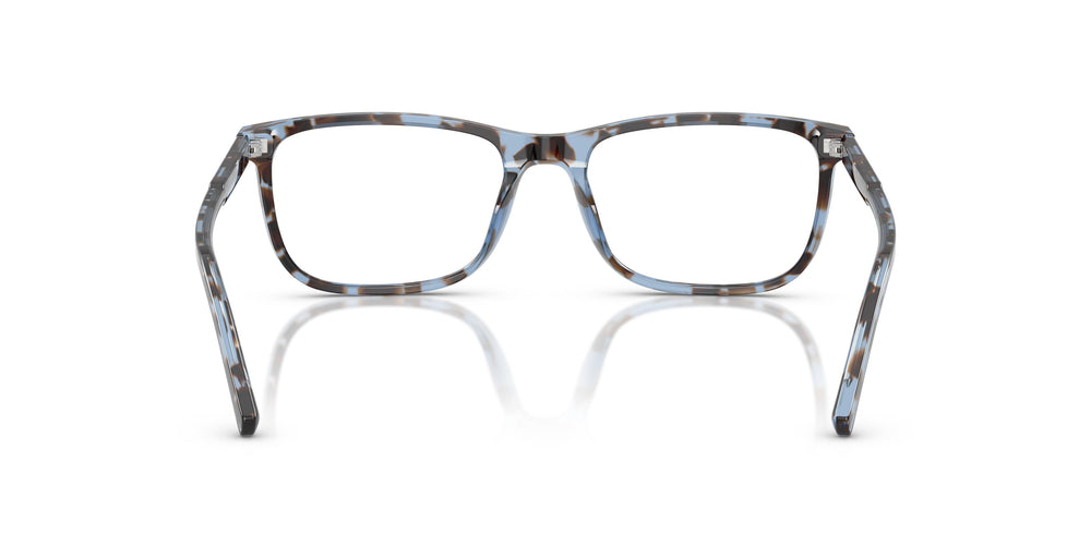 Dolce & Gabbana DG3427 3392 53