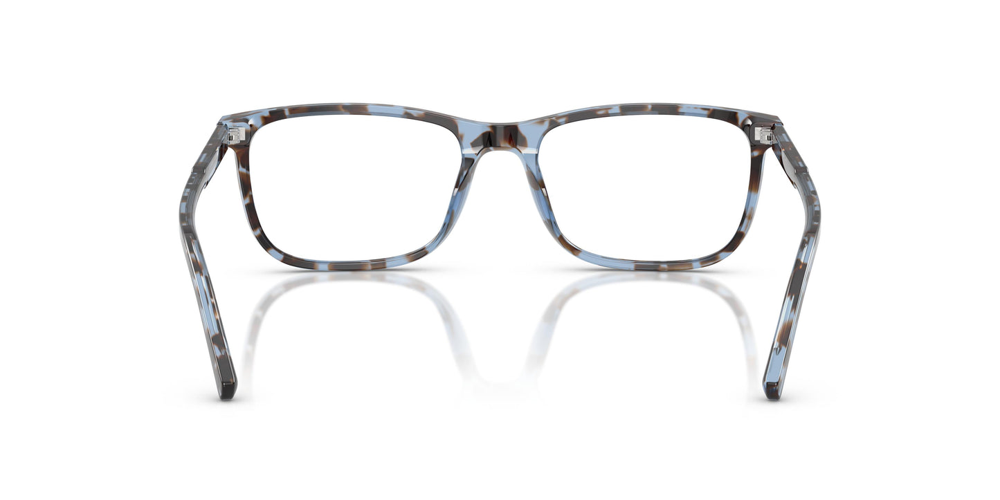 Dolce & Gabbana DG3427 3392 53
