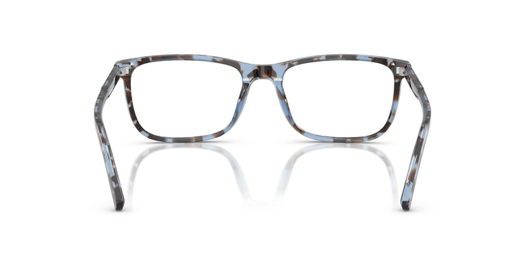 Dolce & Gabbana DG3427 3392 53