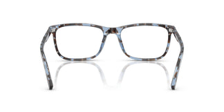 Dolce & Gabbana DG3427 3392 55