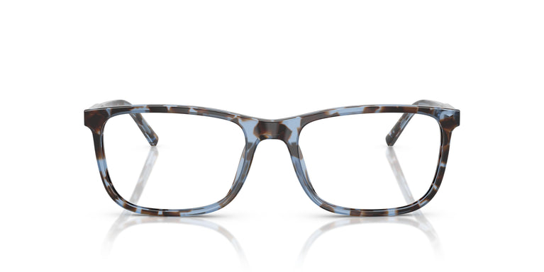 Dolce & Gabbana DG3427 3392 53