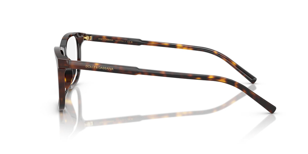 Dolce & Gabbana DG3427 502 55