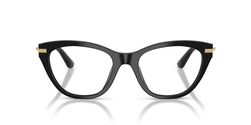 Dolce & Gabbana DG3428 501 53