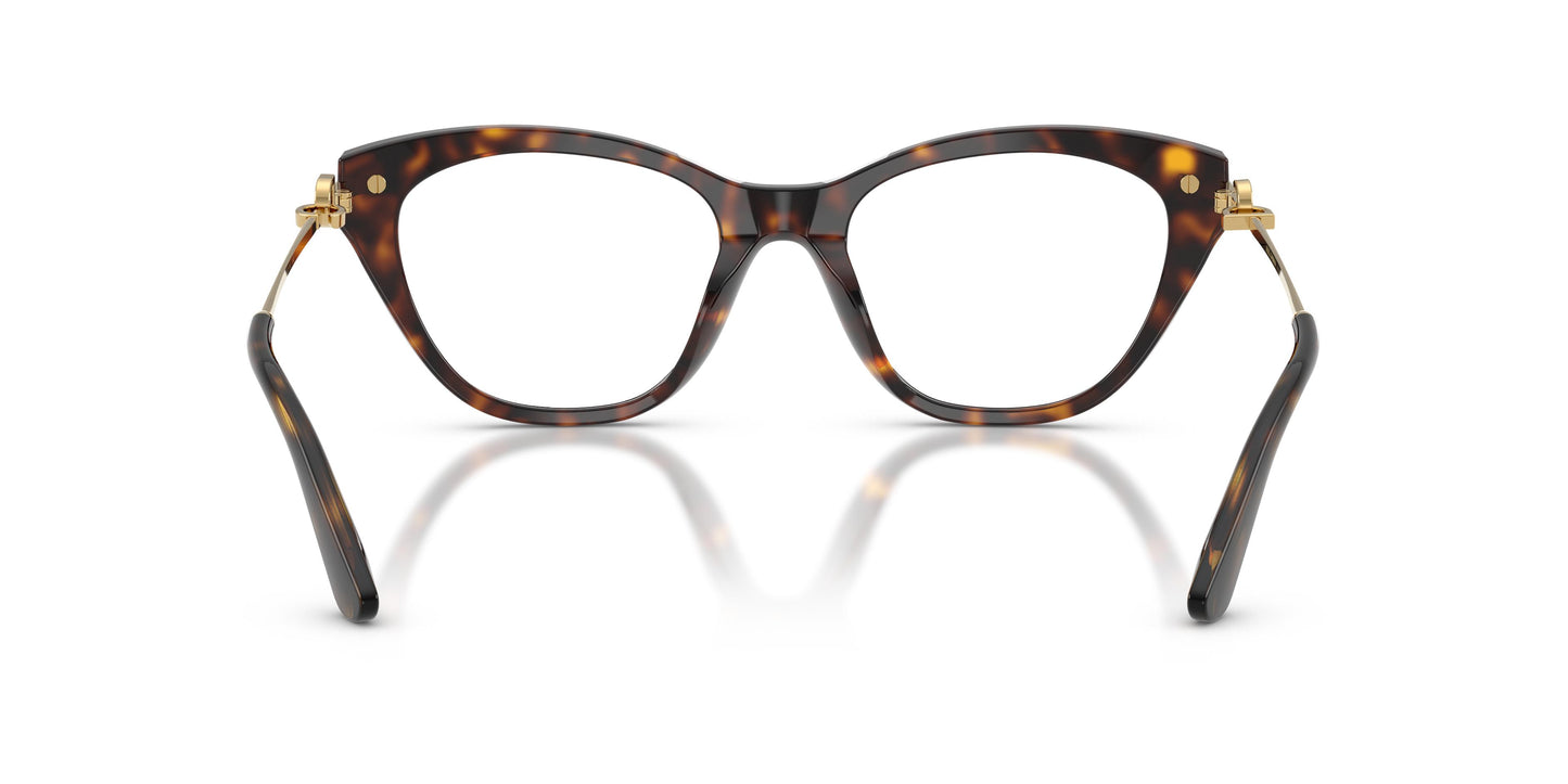 Dolce & Gabbana DG3428 502 53